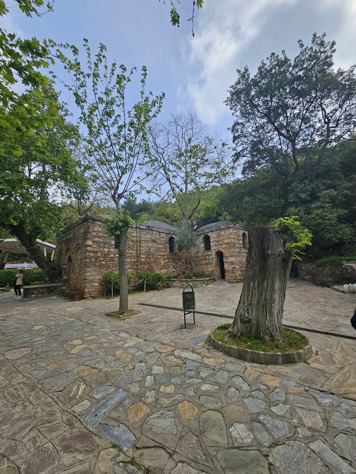 Cour avec des arbres et des allées en pierre.