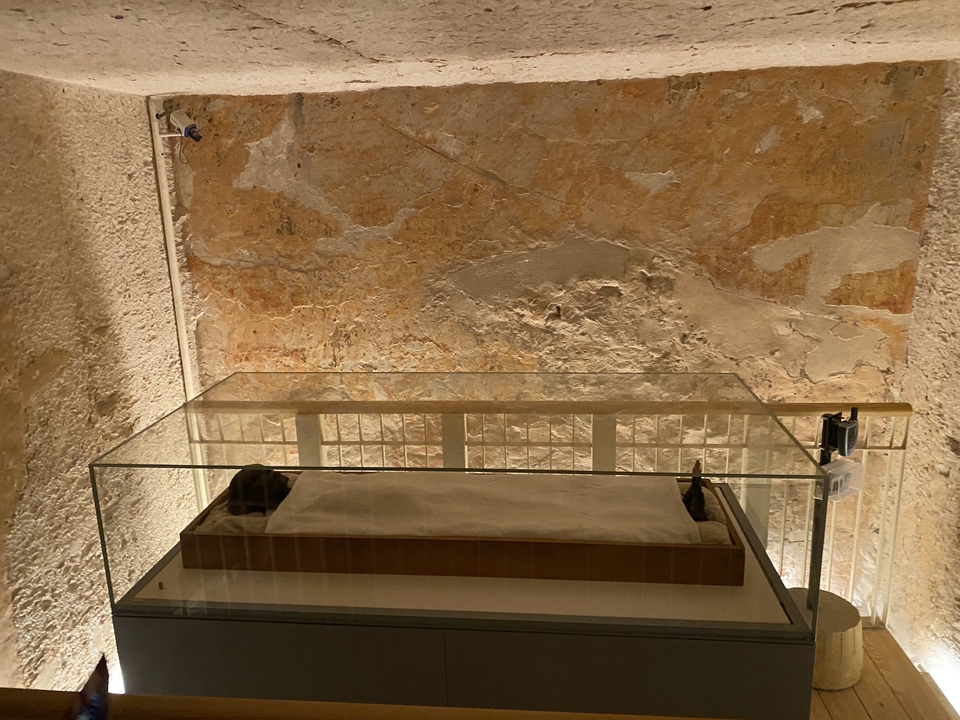 Un artefact exposé dans une vitrine contre un mur texturé.