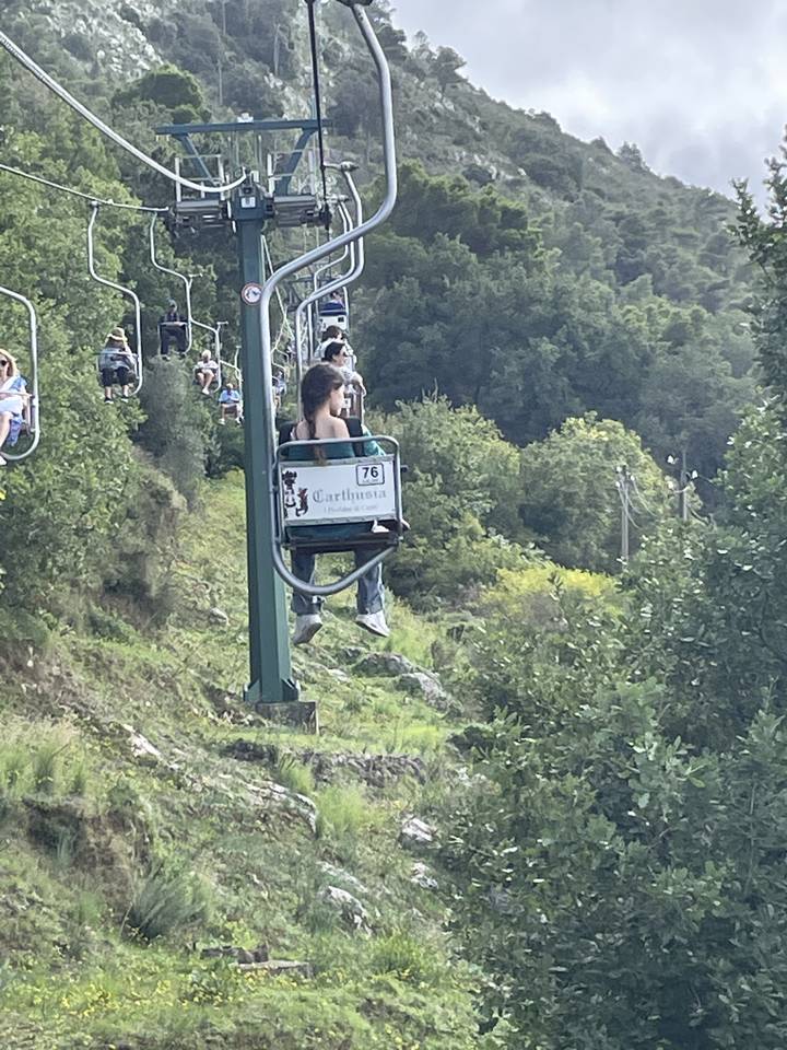 Des gens sur un télésiège montant une zone vallonnée couverte d'arbres.