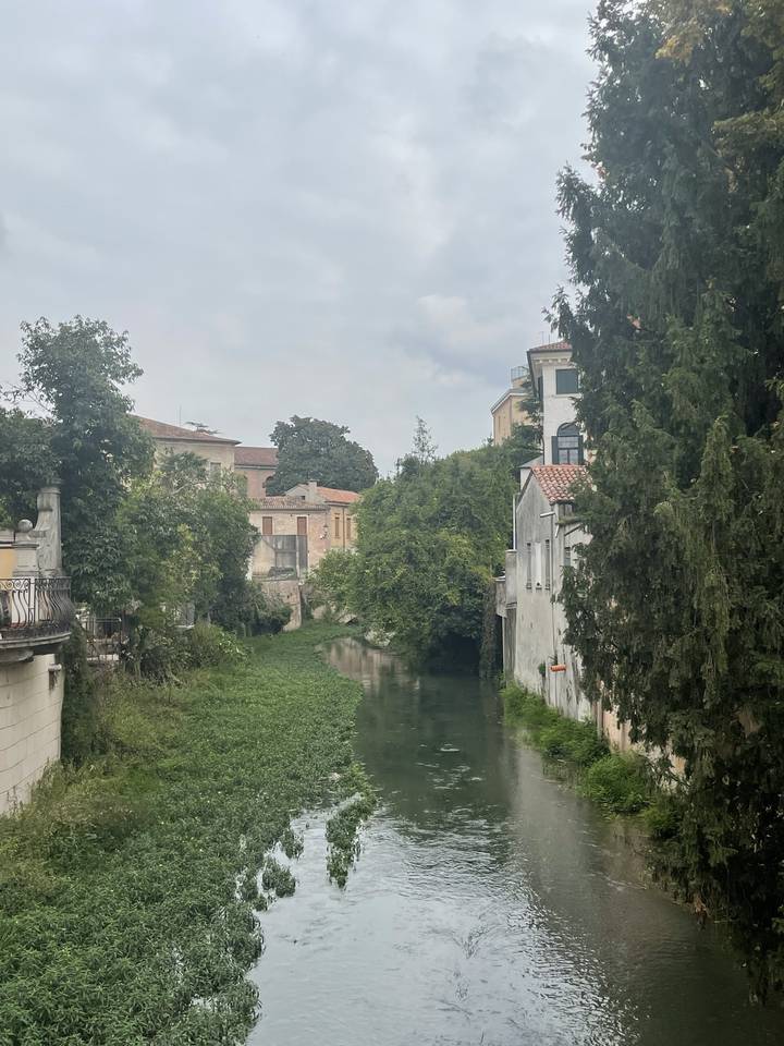 Rivière aux berges envahies par la végétation, bâtiments en arrière-plan.