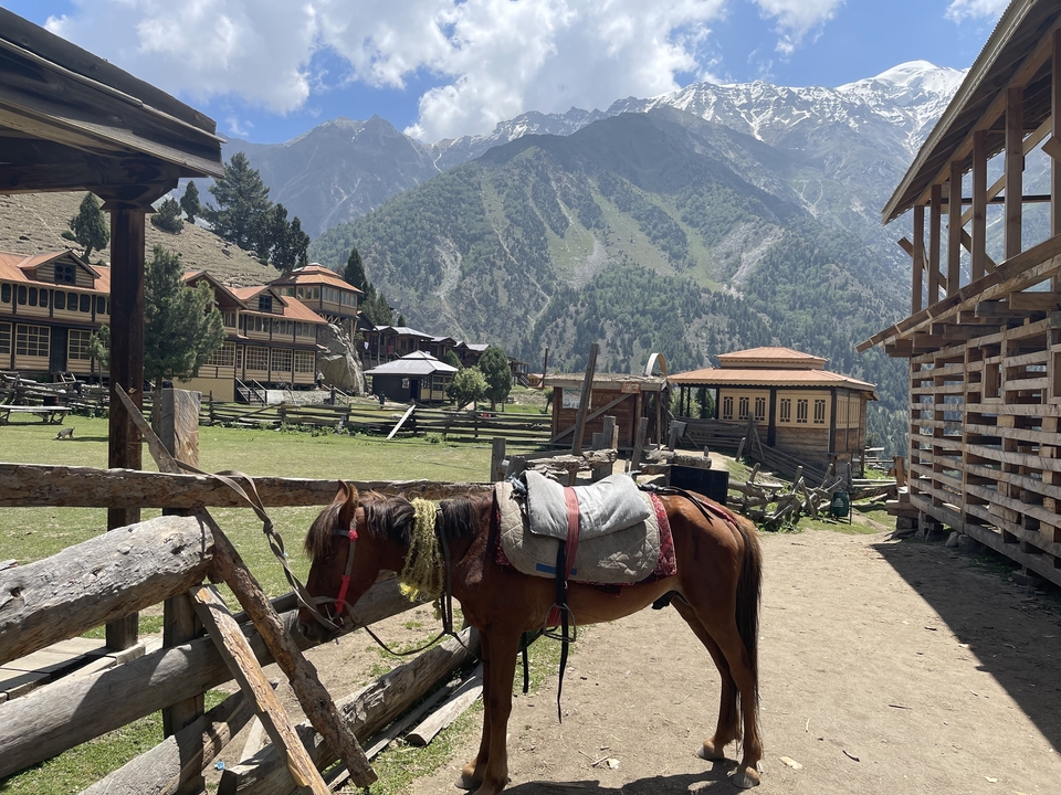 Wooden buildings with mountain backdrop, horse in foreground.