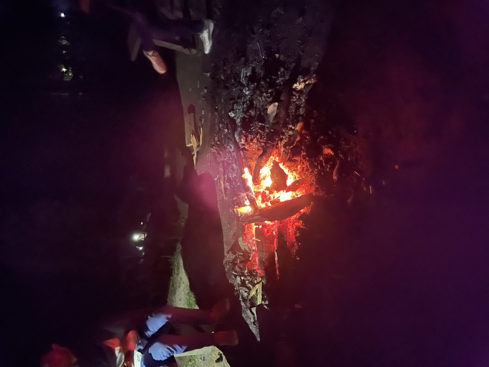 Campfire burning at night.