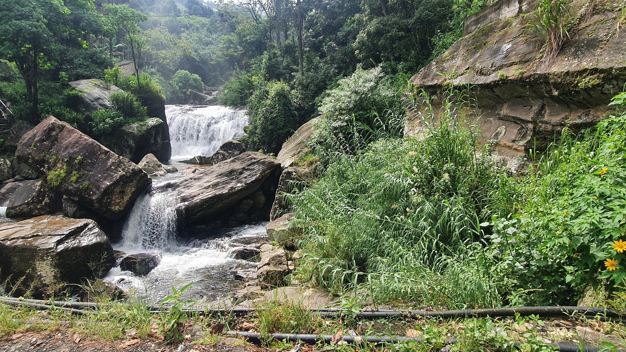 A small waterfall in a lush environment.