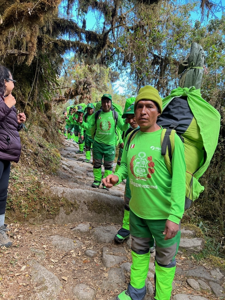 Hiking guides in a line on a lush trail.