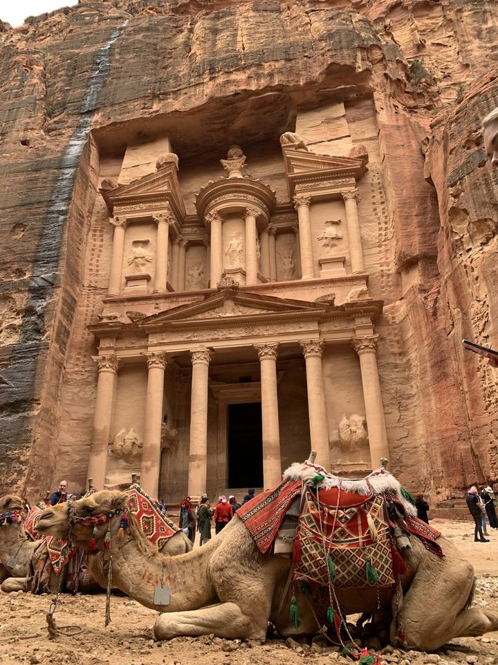 Camels resting in front of the Petra façade.