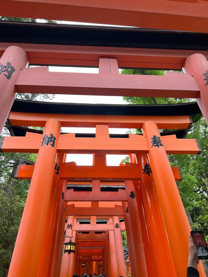 Portiques torii dans un sanctuaire japonais.