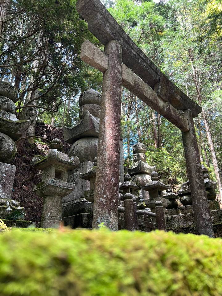 Statues de pierre et un torii dans une forêt moussue.