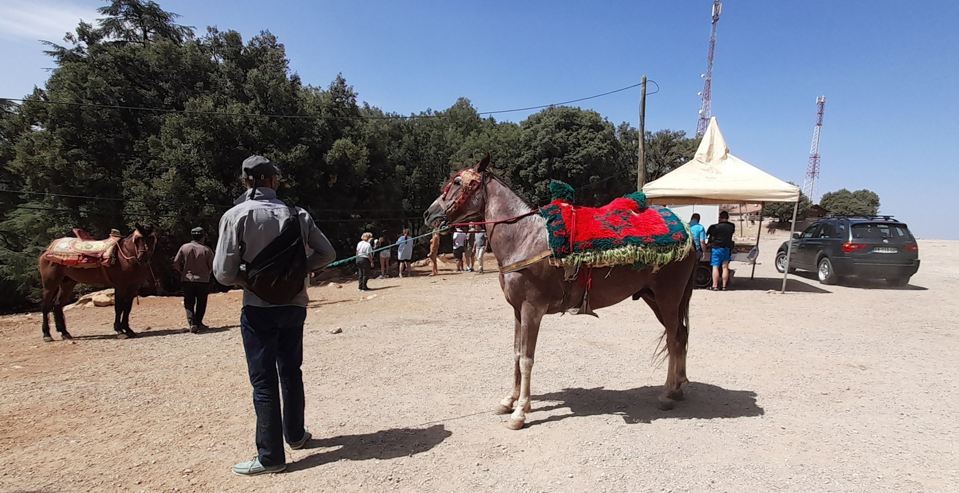Homme avec un cheval décoré debout dans une zone pittoresque.