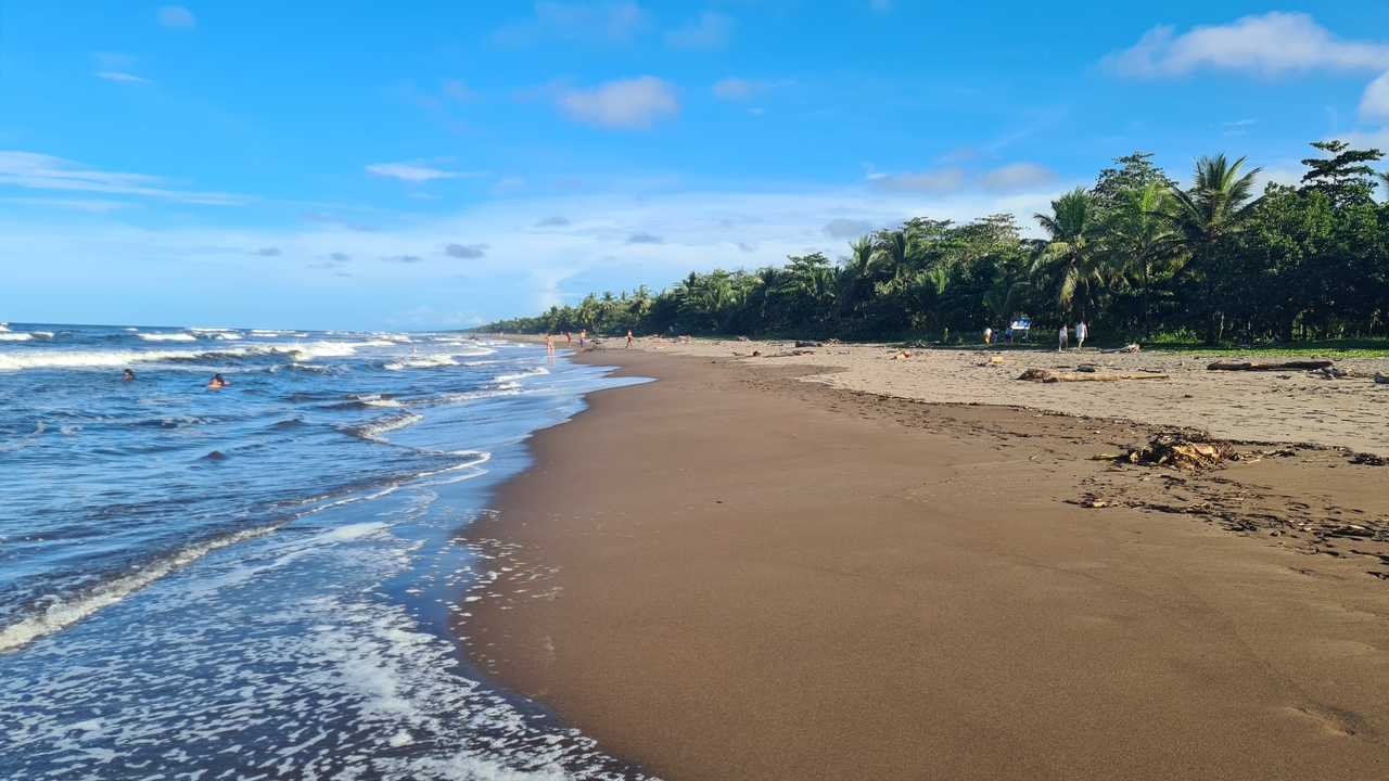 Wide sandy beach with people and palm trees under a clear blue sky.