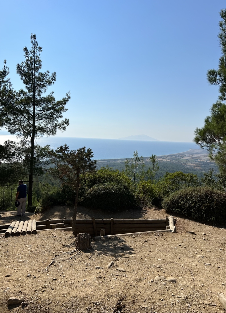 Scenic view of a coastline from a high vantage point with trees in the foreground.