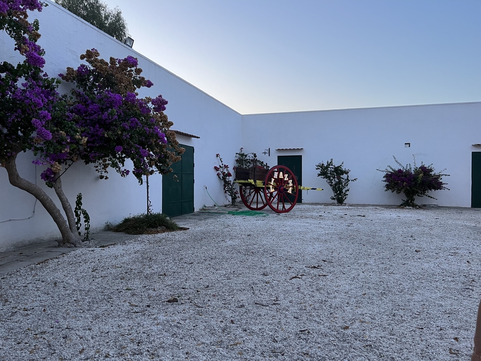 A courtyard with flowering plants and a decorative cart.