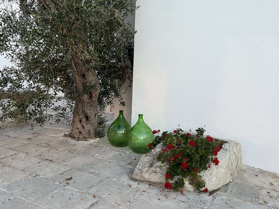 A green glass bottle and flowers next to an olive tree.