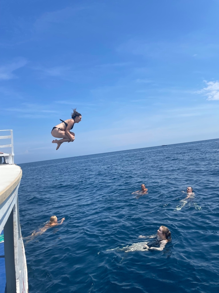 A person jumping into the ocean from a boat.