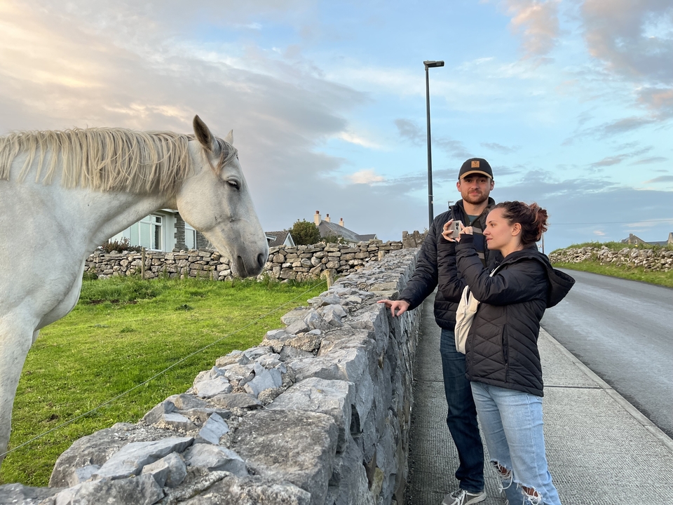 Two individuals interacting with a horse by a stone fence.