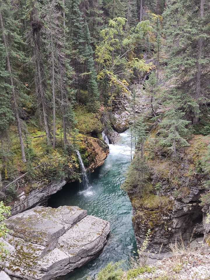 Waterfall in a lush forested area.