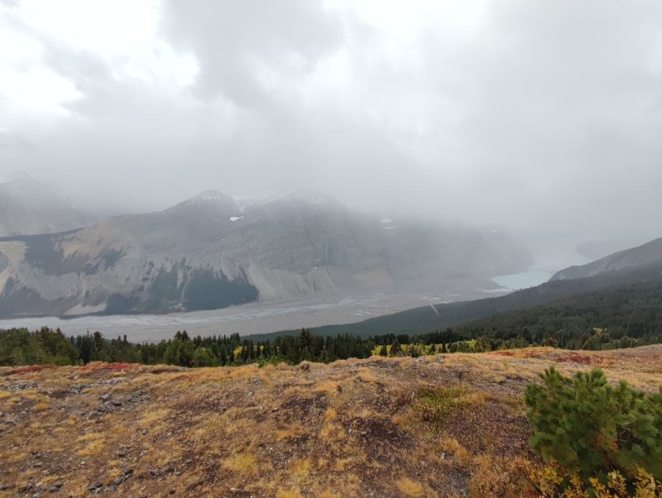 Foggy mountainous landscape with dense forest and valleys.