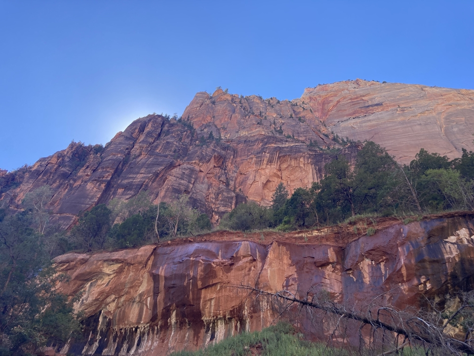 Cliffside view of a rock face with trees and blue sky above.