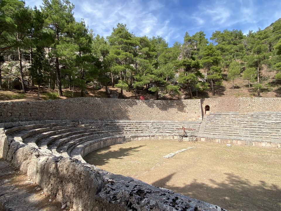 Ruines d'un ancien amphithéâtre entouré d'arbres.