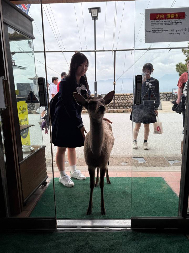 Person with a deer at a glass door, potentially in Nara.