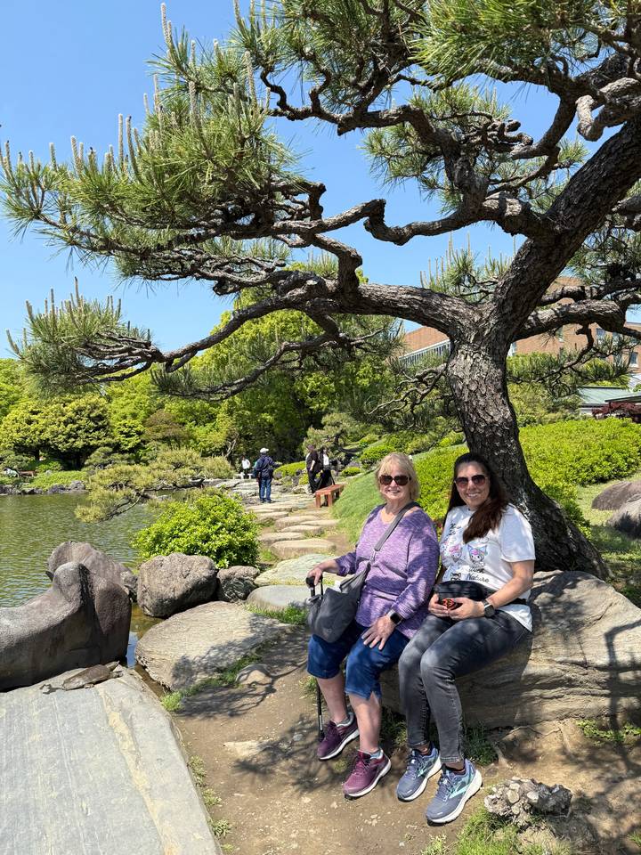 People seated under a pine tree in a garden.
