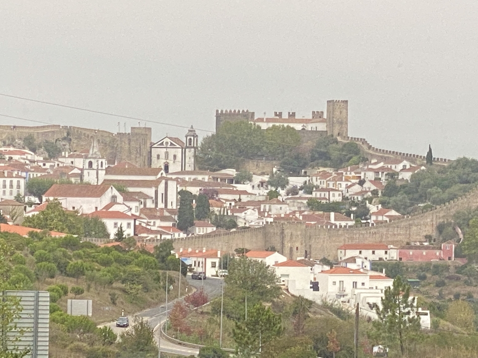 Vue d'un château historique et d'une ville.