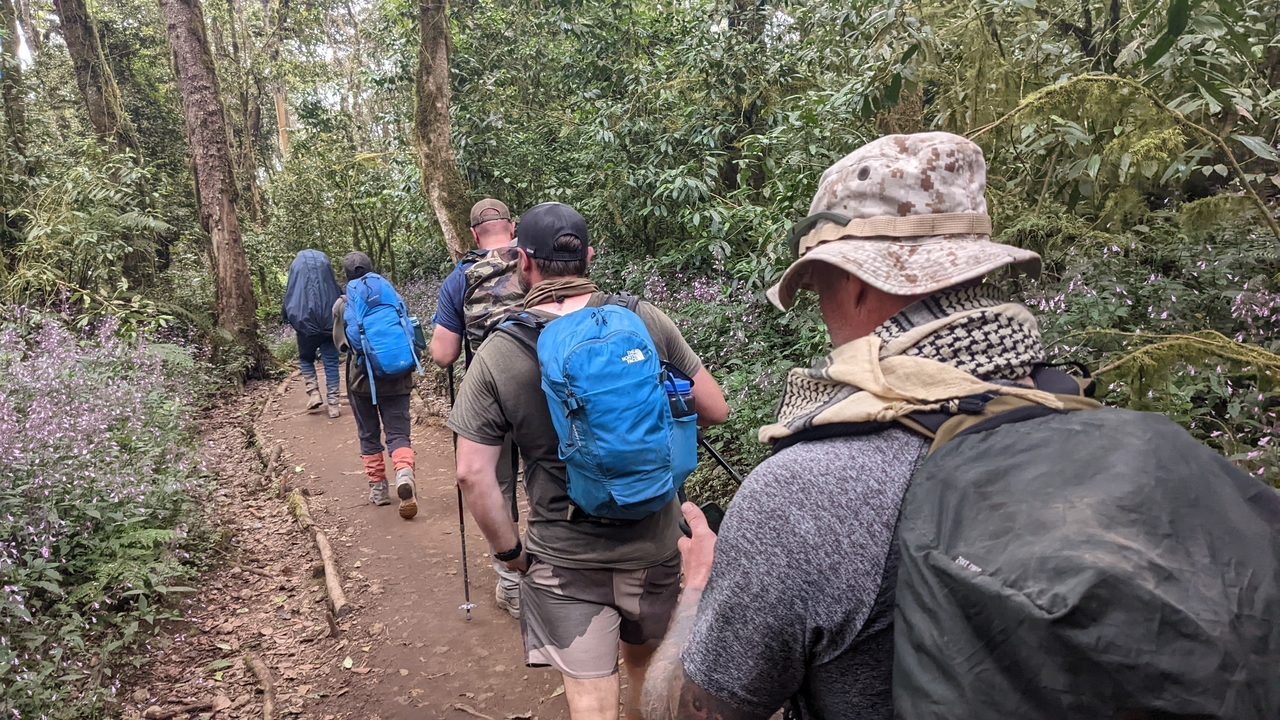 Group of hikers walking through a forested trail.