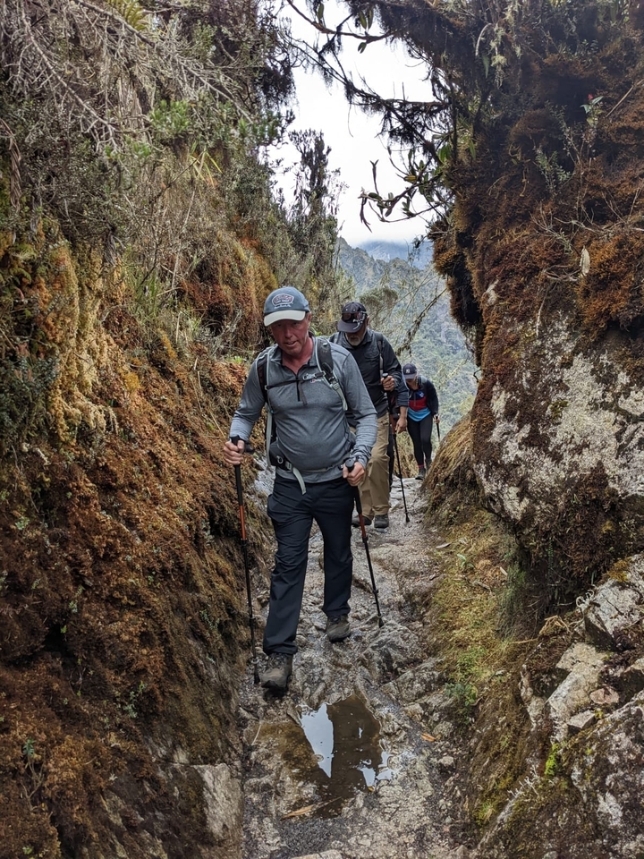 Des randonneurs parcourant un étroit sentier de montagne.