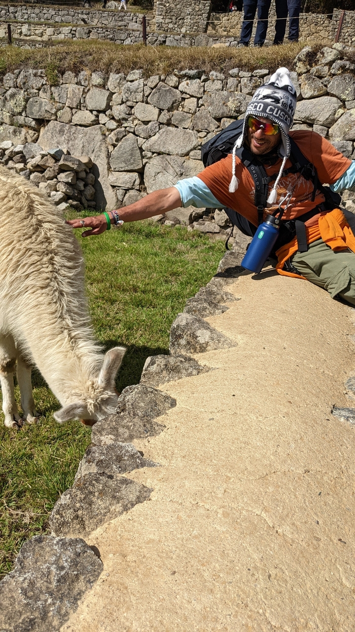 Personne interagissant avec un lama au Machu Picchu.