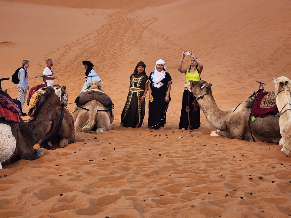 Group of people taking photos with sitting camels.