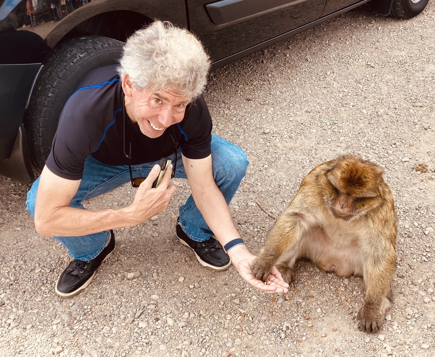 Person interacting with a monkey on the ground.