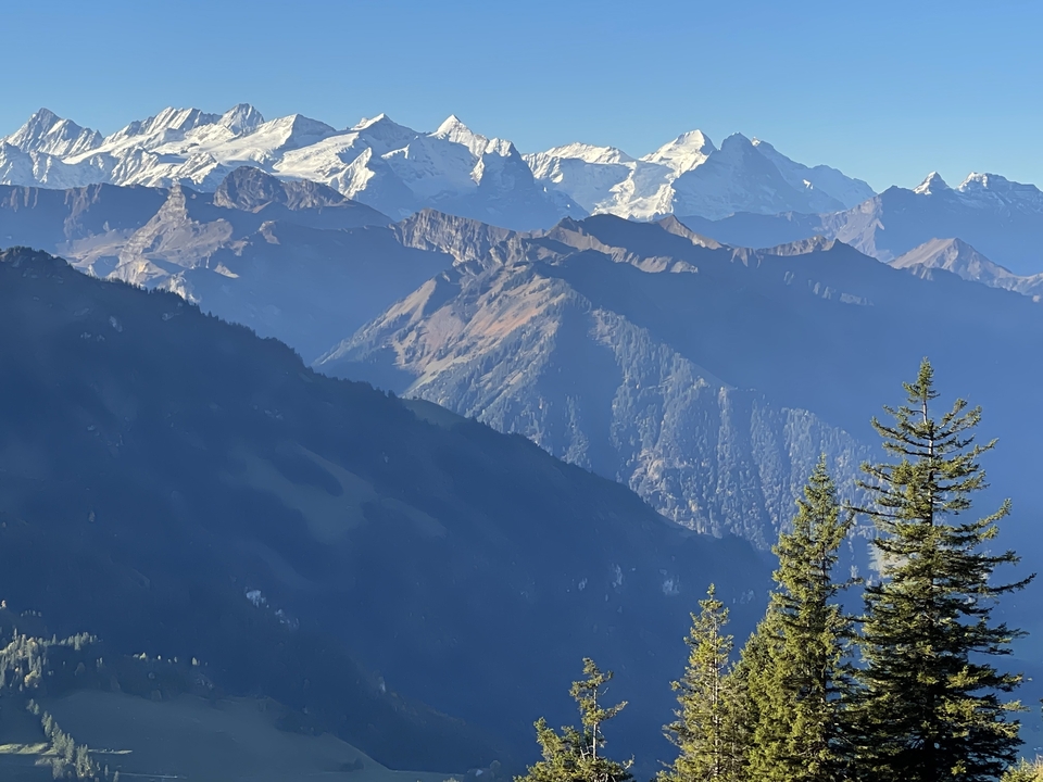 View of snow-capped mountains with pine trees in the foreground.