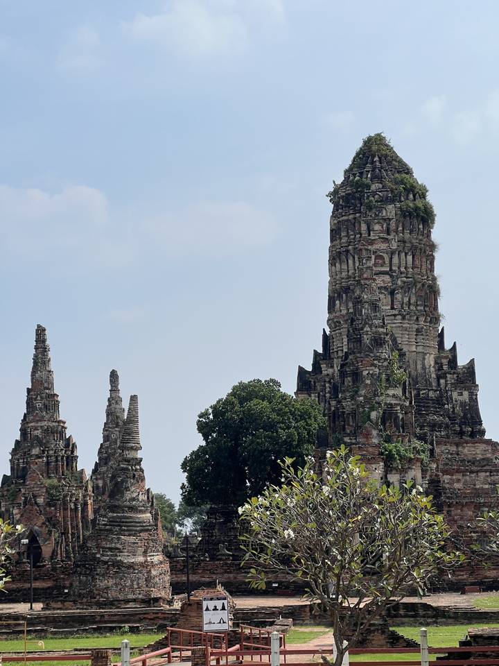 Historic site with stone structures and a tree, under clear sky.
