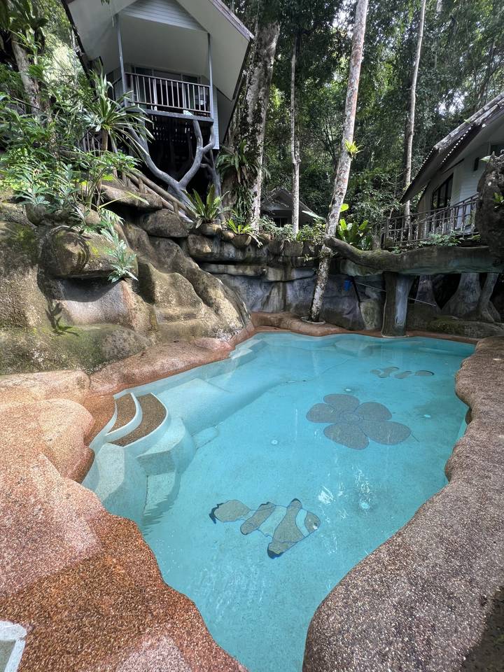 Pool with artful fish designs in a natural setting.