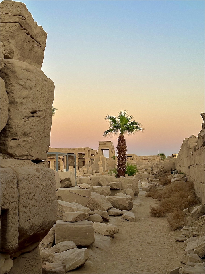 Ruins at sunset with palm trees.