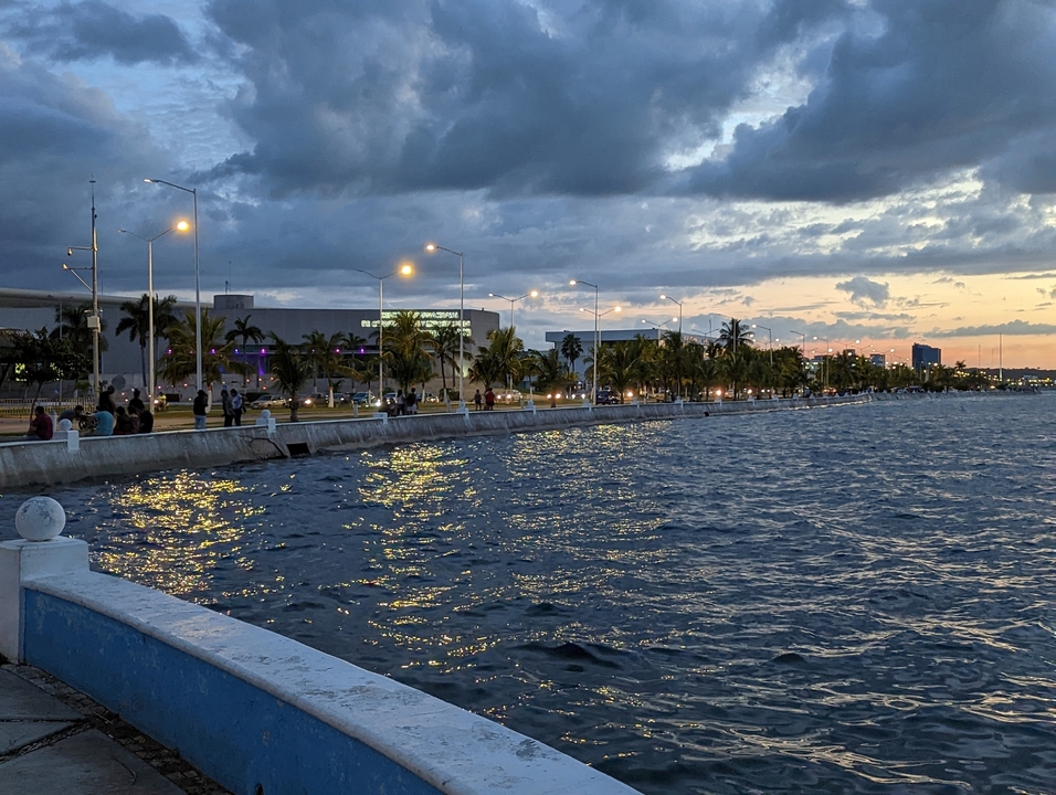 Promenade along the water at sunset with palm trees.