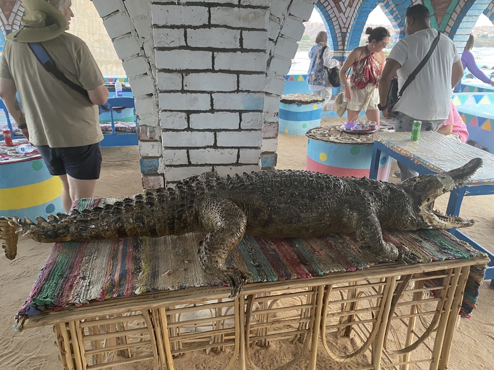 Étalage avec un crocodile empaillé dans un marché culturel.