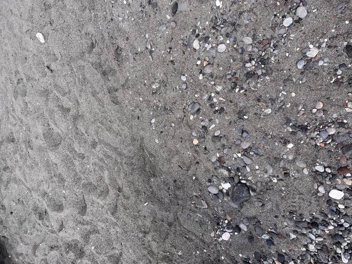 Close-up of pebbles and sandy textures on a beach.