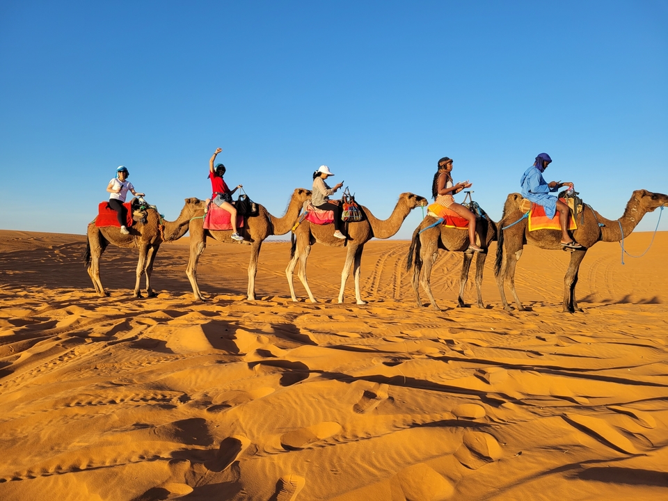 Group of people riding camels in the desert.