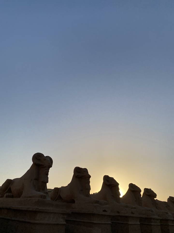Sphinx statues against the sunset.