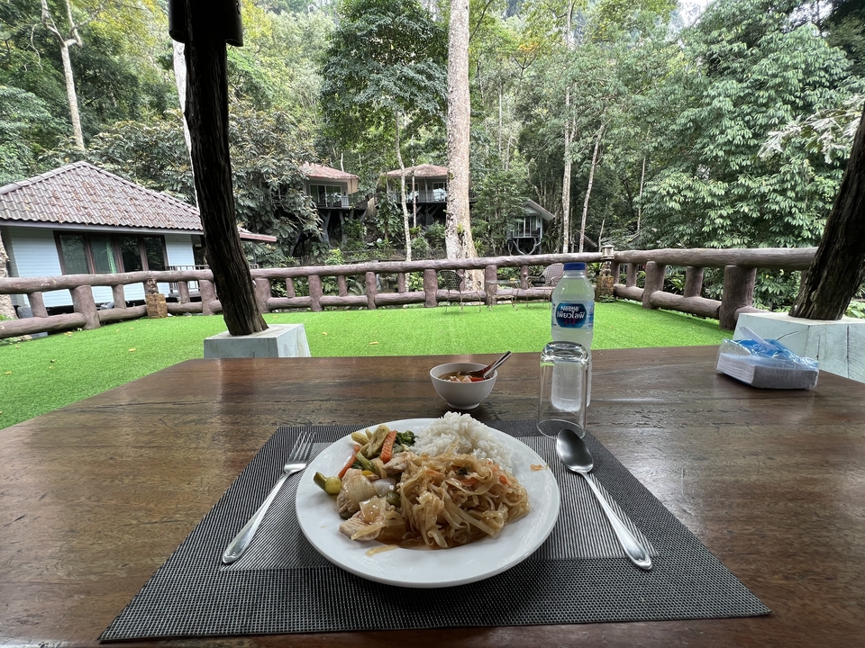 Outdoor dining with a forest background.