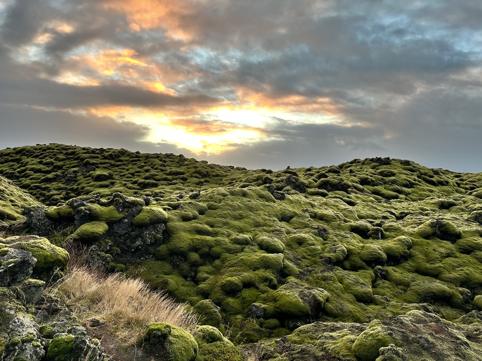 Moss-covered lava fields with a dramatic sky.