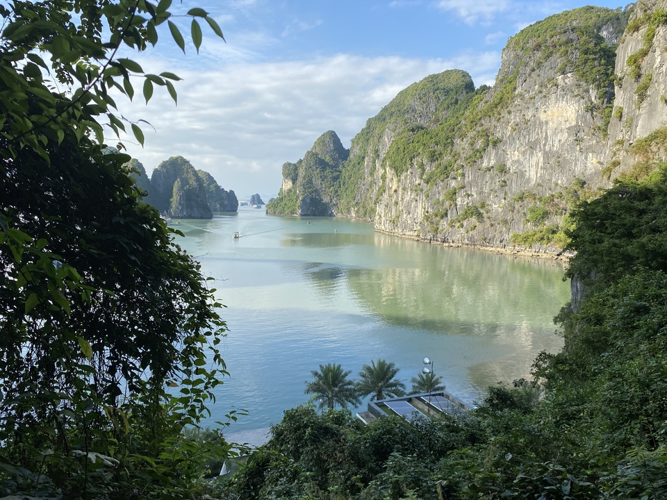 Scenic view of limestone karsts in Halong Bay with calm water.