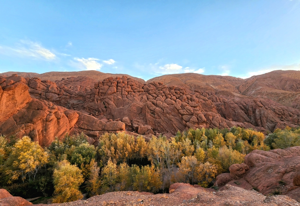 Vibrant red rock formations with autumnal trees at the base.