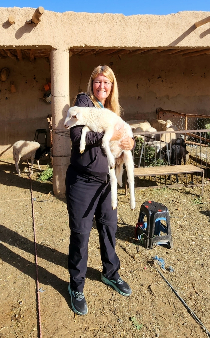 Person holding a large white sheep with other animals in the background.