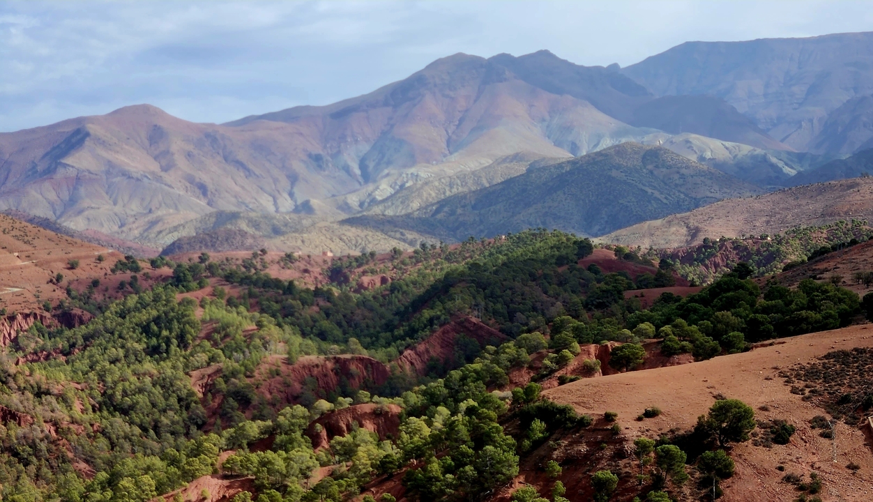 Lush green vegetation nestled within a red mountain valley.