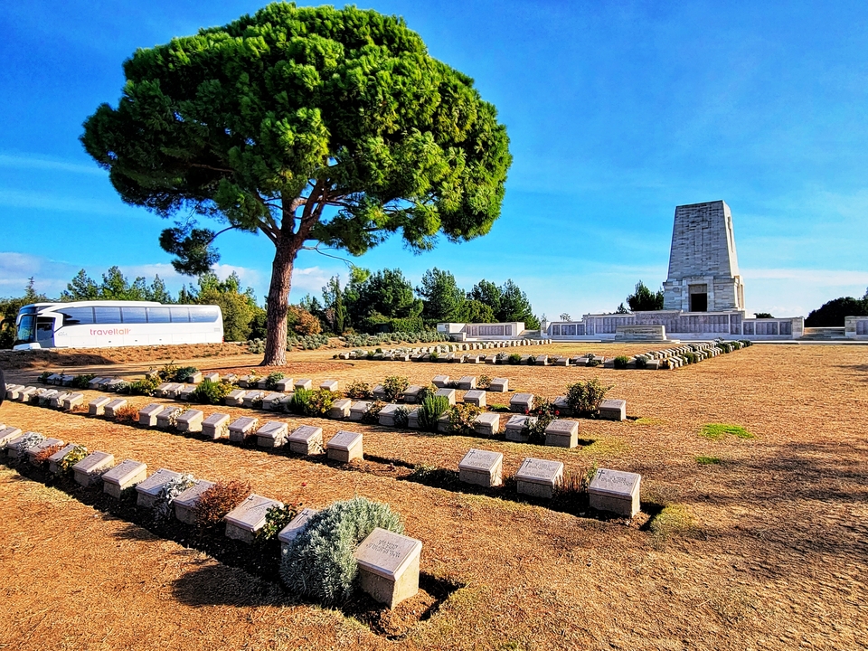 Cemetery with gravestones and a large tree.