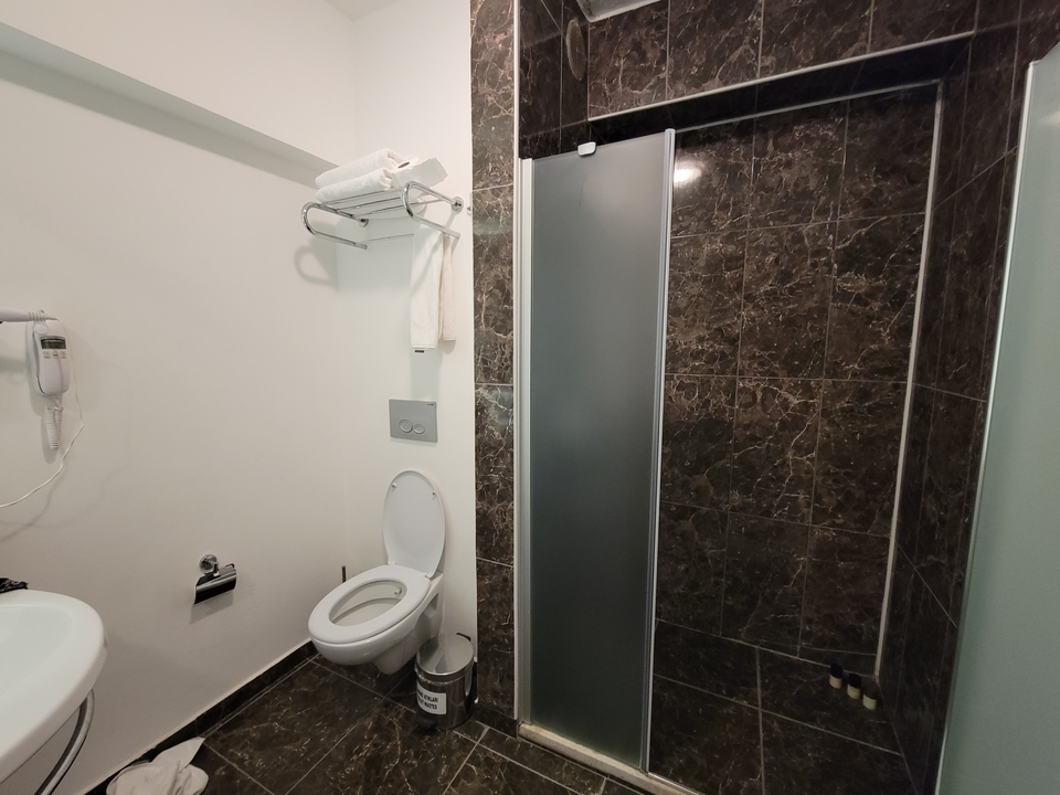 Modern bathroom with a toilet and shower area.