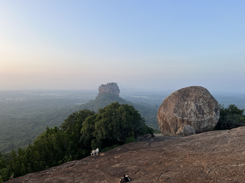 A rocky hill with lush forest and a large boulder in the foreground.