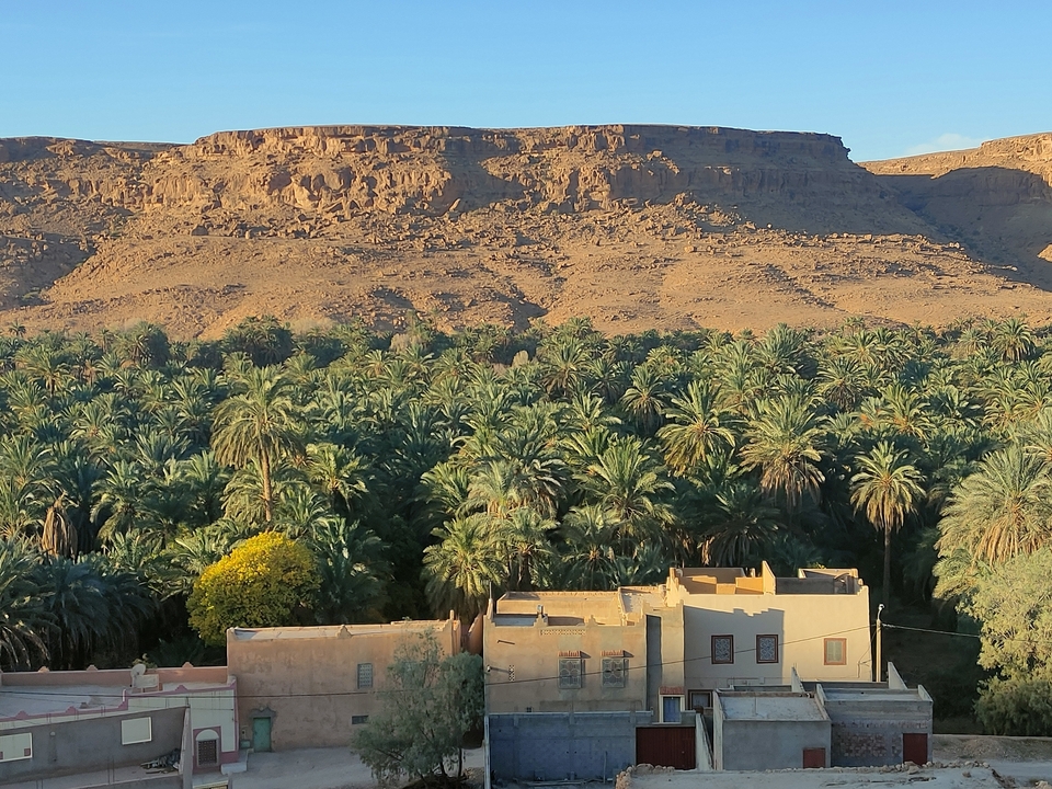 Vue d'une oasis luxuriante de palmiers contre une falaise.