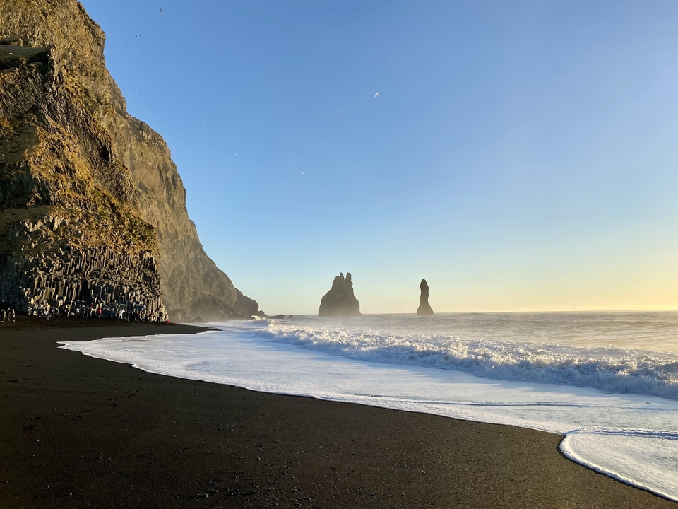 Vue panoramique d'une plage de sable noir avec des aiguilles de mer.